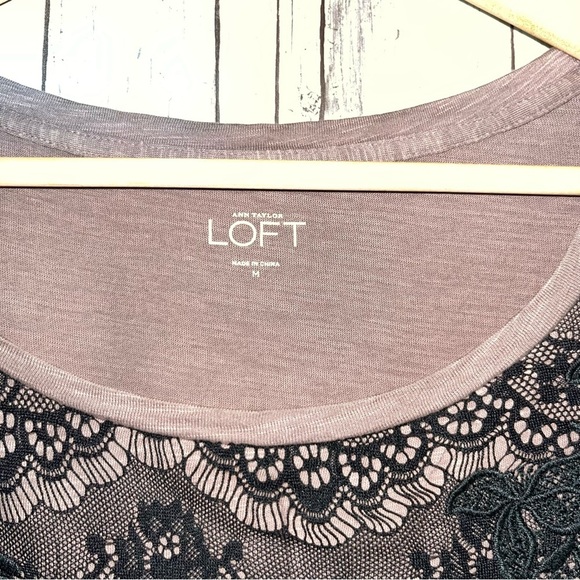 Loft Brown & Lace Top Tee - Picture 4 of 4